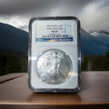 2015 $1 American Eagle NGC MS69 EARLY RELEASES0