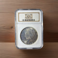 1922 D PEACE DOLLAR NGC MS 64 A TOUGHER DATE, NICE SILVER SATIN0