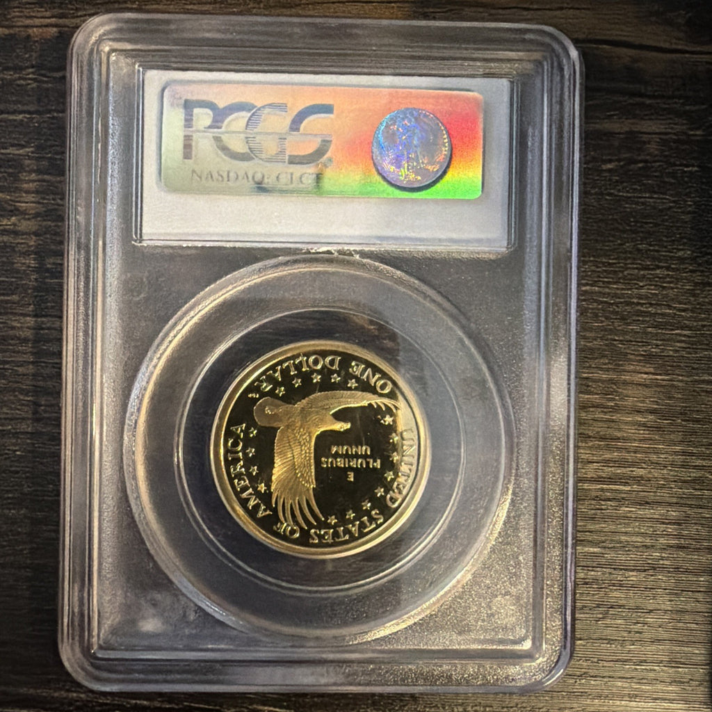 NICE 2004 - S Sacagawea Native American PCGS PR69DCAM1
