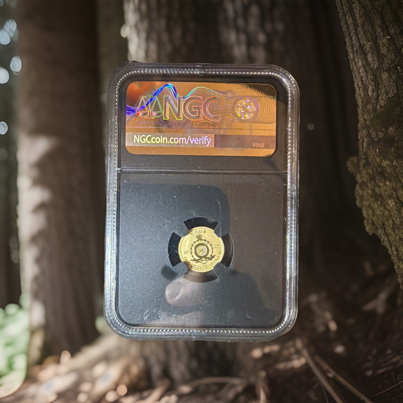 **NEWEST RELEASE** 2026 Niue Tyrannosaurus Reverse Proof PF70 1g Gold Coin 1