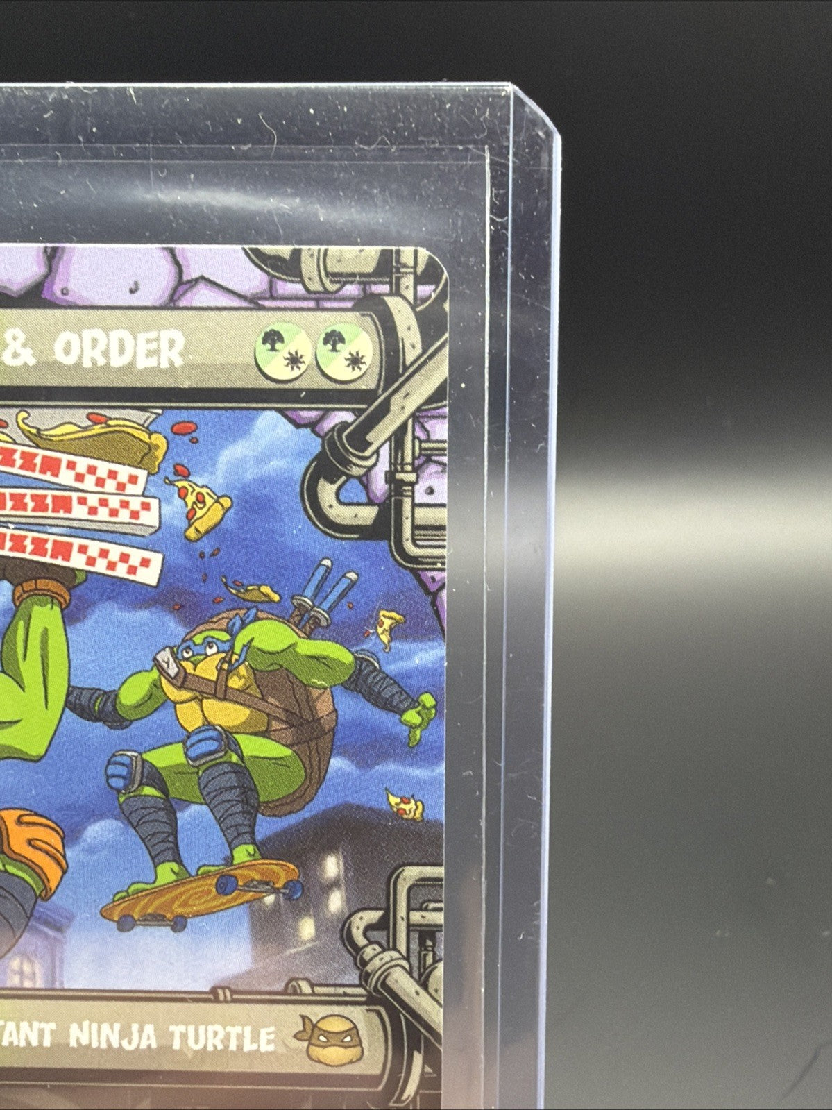 Mikey & Leo, Chaos & Order (Showcase) Teenage Mutant Ninja Turtles Regular7